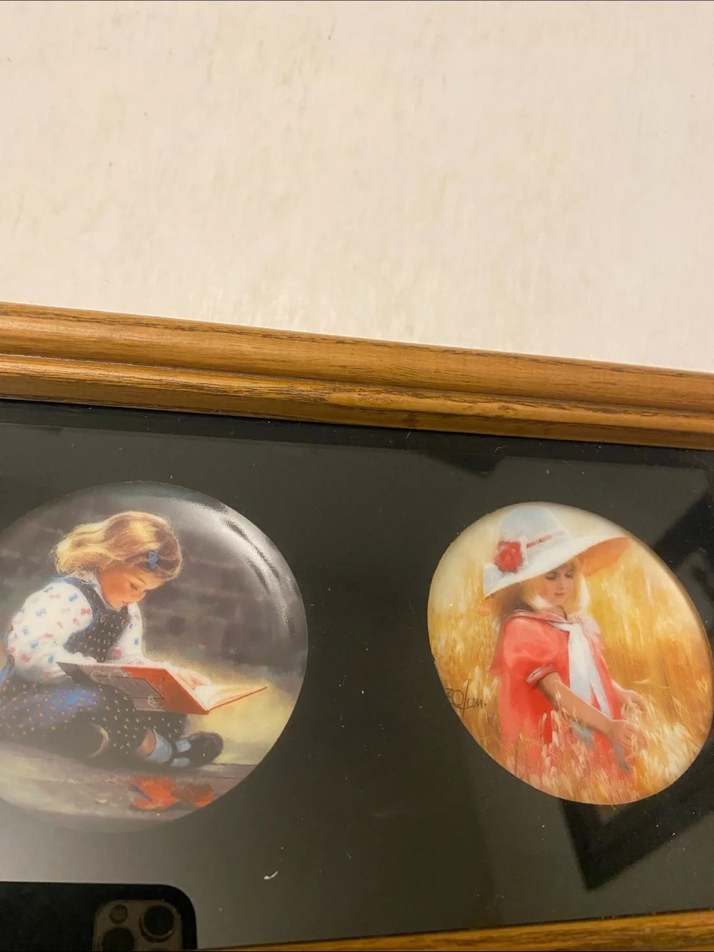 Donald Zolan 1992 Pemberton Oakes 6 Mini Plates Framed Wall Art Vintage